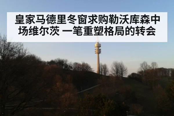 皇家马德里冬窗求购勒沃库森中场维尔茨 一笔重塑格局的转会