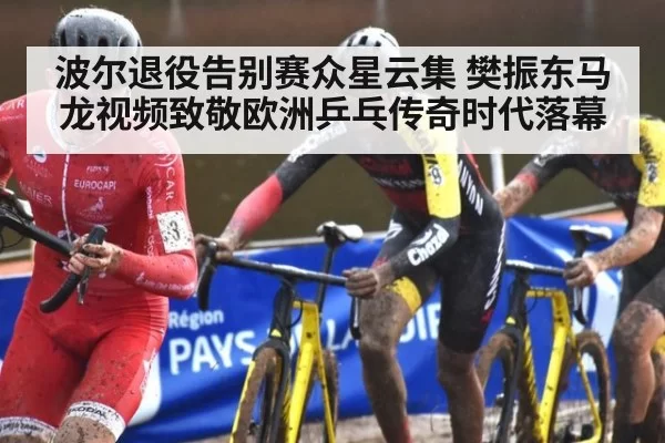 波尔退役告别赛众星云集 樊振东马龙视频致敬欧洲乒乓传奇时代落幕